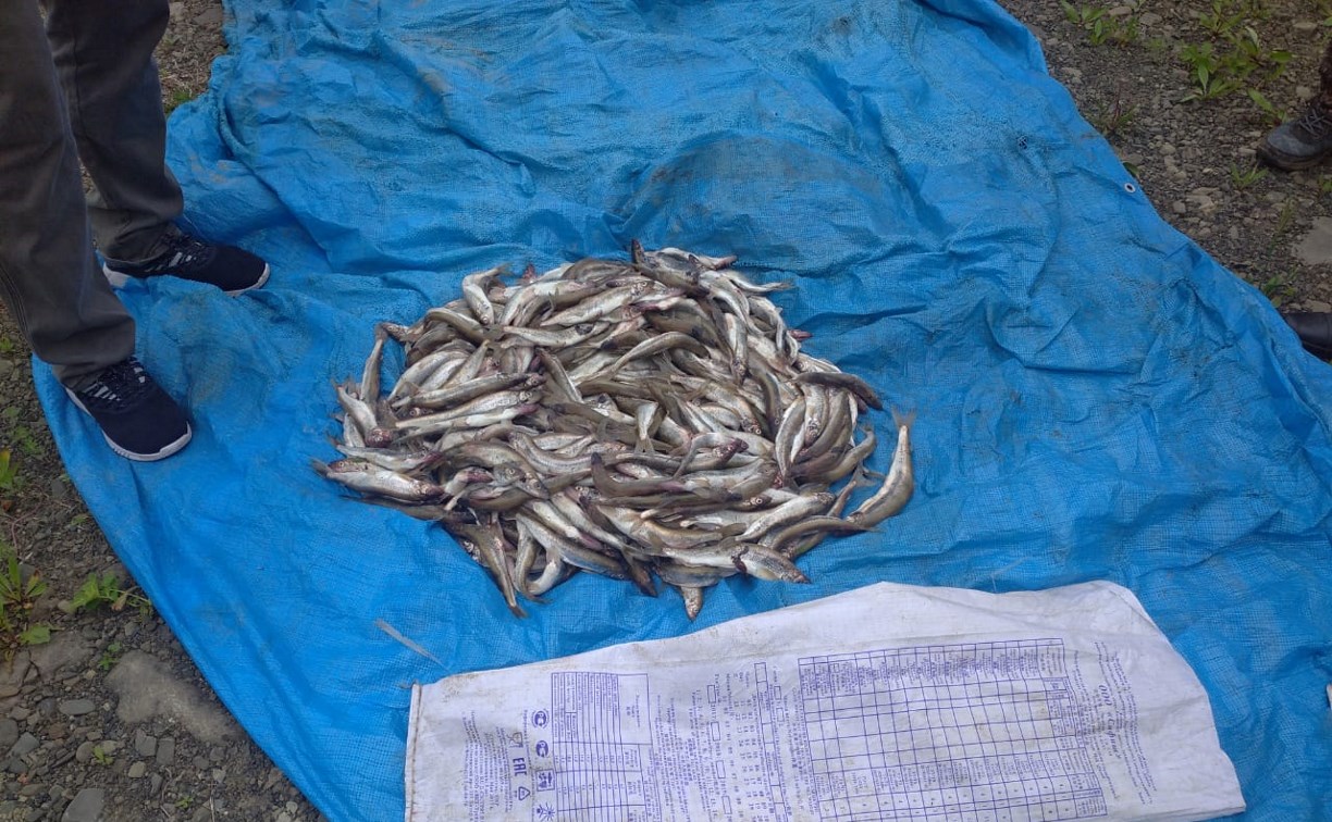 "Корюшковый" браконьер выловил более 4 тысяч рыбин в Смирныховском районе