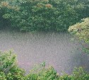 Синоптики: очень сильные дожди идут на Сахалин