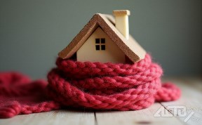 Общество