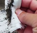 "Город накрыло": курильчанин показал на видео, как почернели окна после извержения вулкана