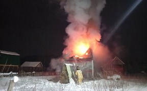 Общество