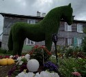 Сахалинка из-за коронавируса научилась "выращивать" трёхметровых коней из травы