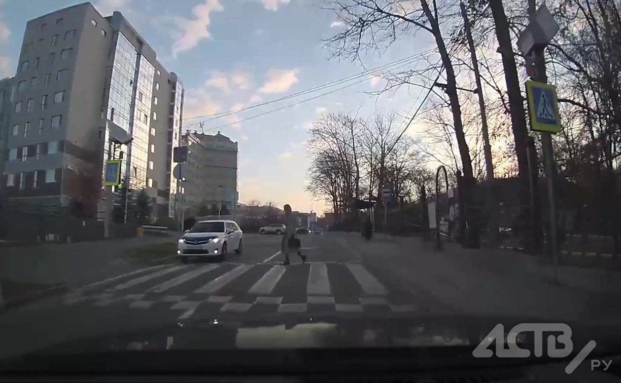 Самая законопослушная белочка живет в Южно-Сахалинске