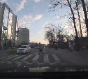 Самая законопослушная белочка живет в Южно-Сахалинске
