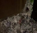 На Сахалине крыса прогрызла вход в квартиру и съела собачий корм