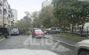 Общество