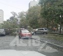 На проспекте Мира в Южно-Сахалинске дерево упало на автомобили