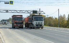 Общество