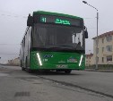 Первые 20 новых автобусов выпустили на улицы Южно-Сахалинска