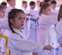 В Южно-Сахалинске открылась обновленная спортшкола восточных видов единоборств