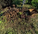 Поисковики откопали на Шумшу воронку с минами и гранатами