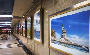 Фотографии сахалинской природы украсили станцию метро в Москве