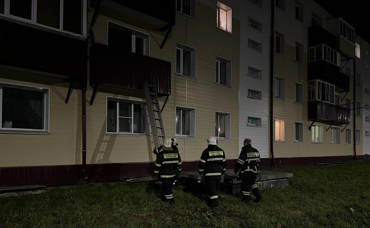 В Аниве спецслужбы несколько часов уговаривали женщину передать детей