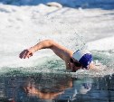 Заплыв моржей: первый областной турнир по холодовому плаванию пройдёт на Сахалине