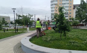 Общество