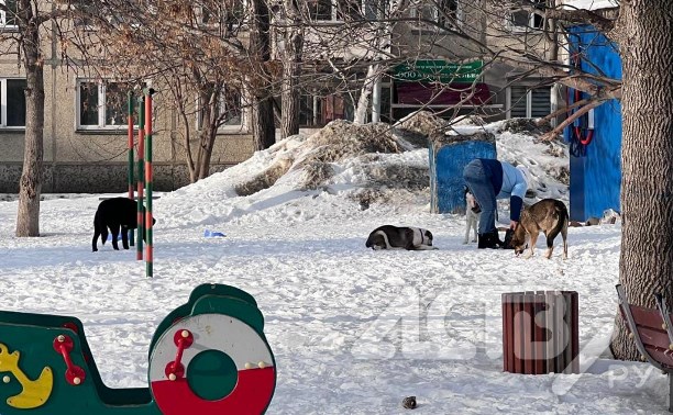 Дворовые войны: в Южно-Сахалинске вместе с полицией решали конфликт с зоозащитниками