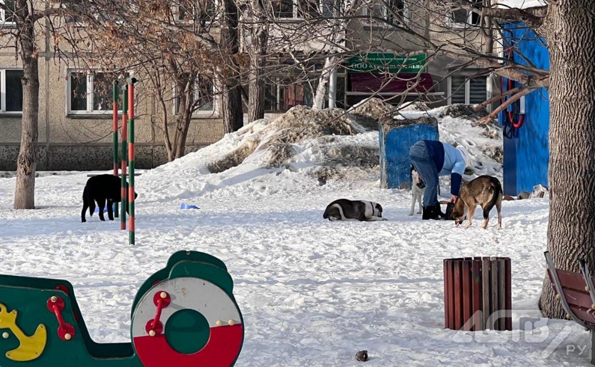 Дворовые войны: в Южно-Сахалинске вместе с полицией решали конфликт с зоозащитниками