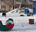 Дворовые войны: в Южно-Сахалинске вместе с полицией решали конфликт с зоозащитниками