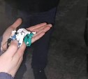 Инспекторы ДПС на Сахалине ночью остановили нервного парнишку с наркотиками в кармане