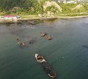 На Сахалине из бухты Лососей удалят 11 затонувших судов