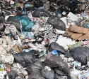 Жители Корсакова потратят 3 миллиона на детскую и мусорную площадки