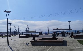 Общество