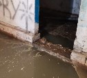 Подвал жилого дома в Южно-Сахалинске затопило фекальными водами