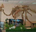 Потрогать кости динозавров смогут дети в Южно-Сахалинске