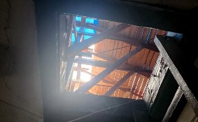 Общество