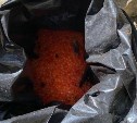 На Сахалине задержали мужчину, который руками ловил кету 
