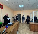 Водитель, сбивший в Благовещенске девять человек, получил почти максимально возможный срок