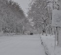 Жители севера Сахалина встретили День Победы в "снежной сказке"