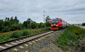 Общество