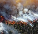 Лесной пожар на севере Сахалина остановили