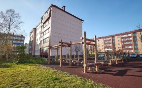 Общество