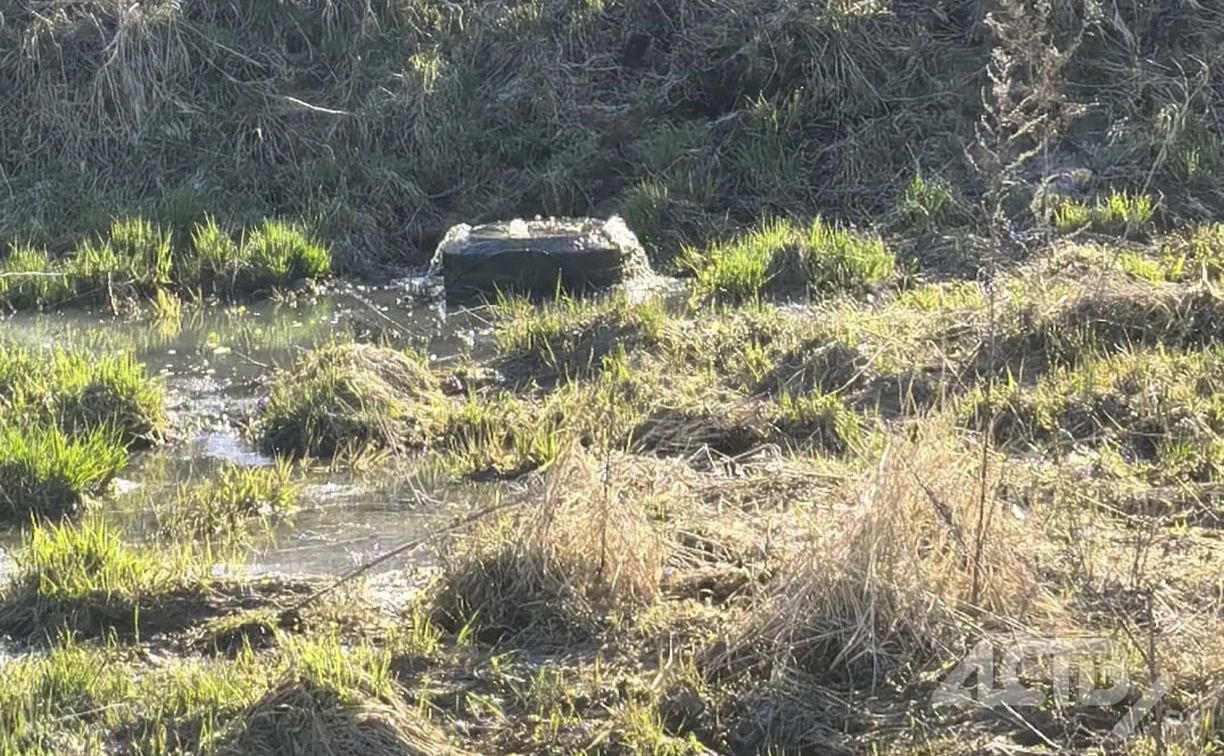 "Септик прорвало": южносахалинцы жалуются на зловонный запах в Октябрьском