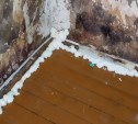 "Дует со стен и пола": холмчанка жалуется на грибок и сырость в своём доме