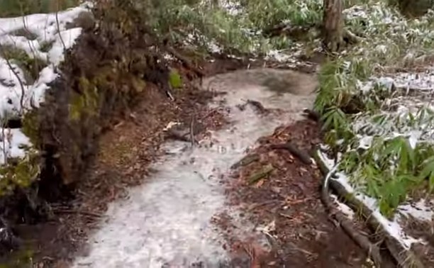 Серный источник и японскую купальню глубоко в лесу нашли сахалинцы