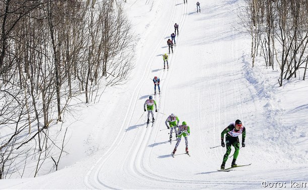 Во время лыжного марафона на Камчатке сахалинец влетел в дерево и попал в больницу