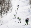 Во время лыжного марафона на Камчатке сахалинец влетел в дерево и попал в больницу