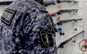 Происшествия