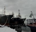 На Сахалине капитана браконьерского судна оштрафовали на 8 млн рублей