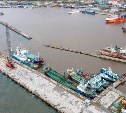 Крупный комплекс по переработке рыбы в Корсаковском морском порту начнут строить в начале следующего года