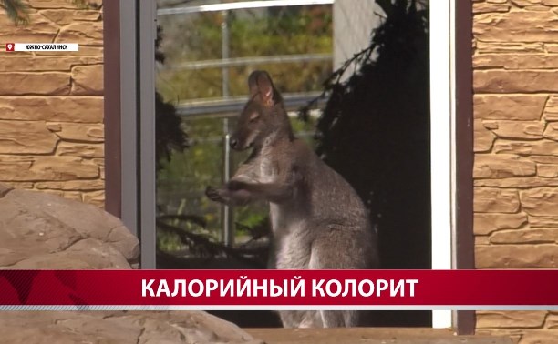 Питомцы сахалинского зооботанического парка перешли на особое меню