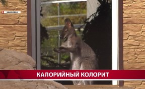 Общество