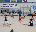 Сахалинских тренеров по спортивной гимнастике учат новым правилам судейства