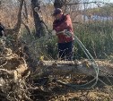 Затор из упавших деревьев расчистили на Лютоге в районе Воскресенского