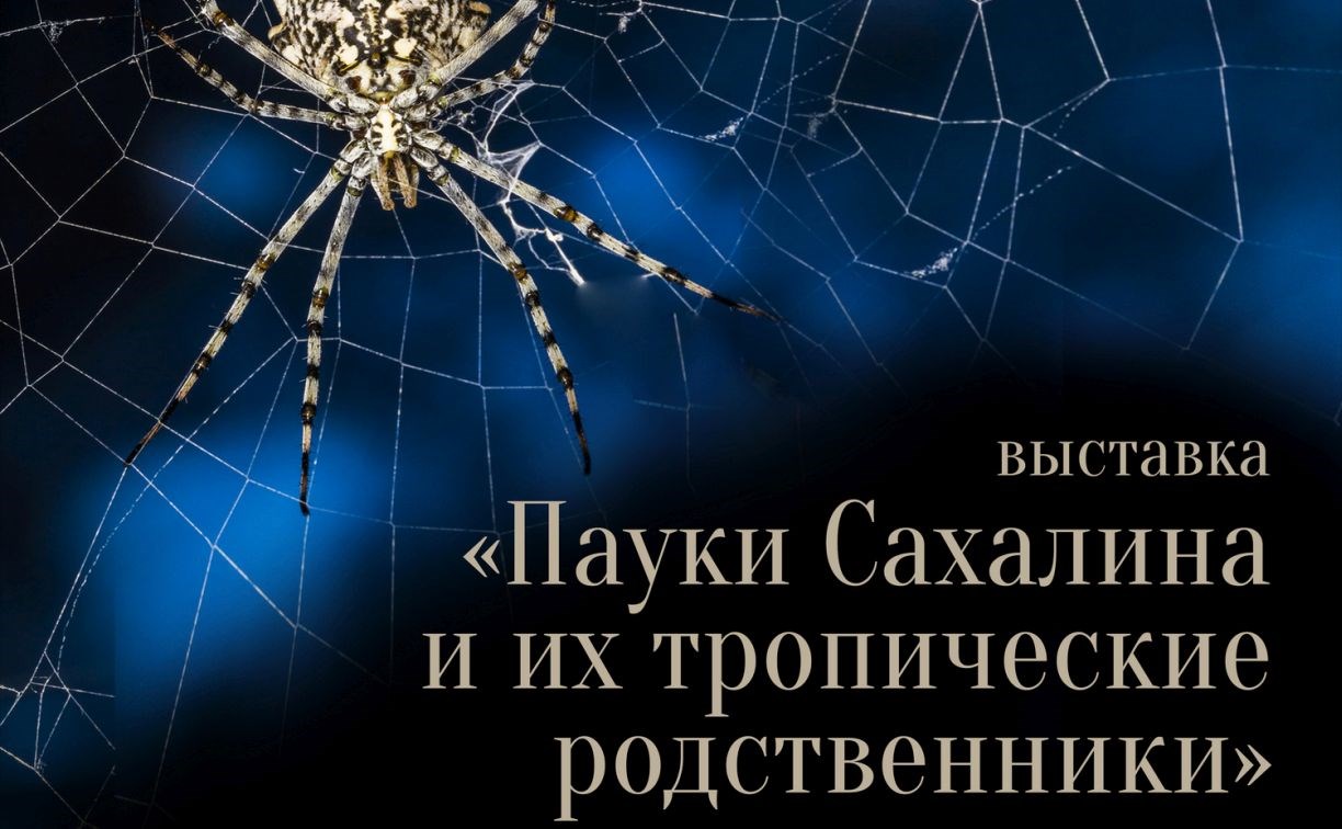 "Увидите, как светятся скорпионы": более 200 видов пауков покажут на выставке в Южно-Сахалинске