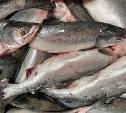 Аномальное тепло и высохшие реки: учёные высказались о ситуации с "поздней" горбушей на Сахалине