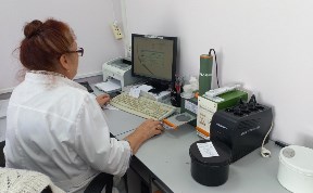 Общество